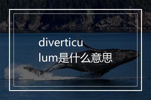 diverticulum是什么意思