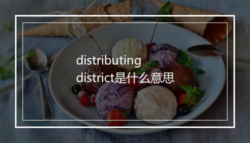 distributing district是什么意思