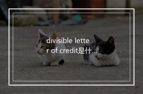 divisible letter of credit是什么意思