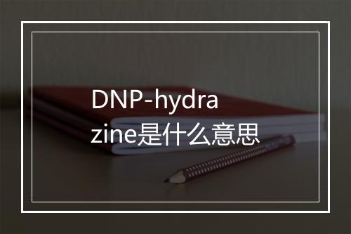 DNP-hydrazine是什么意思