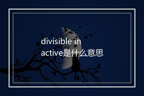 divisible inactive是什么意思