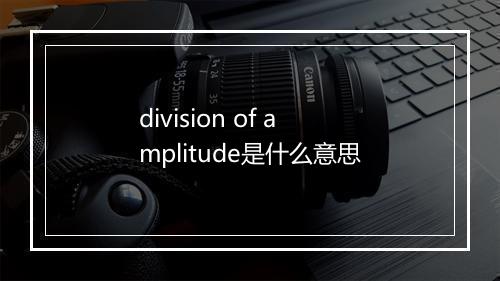 division of amplitude是什么意思