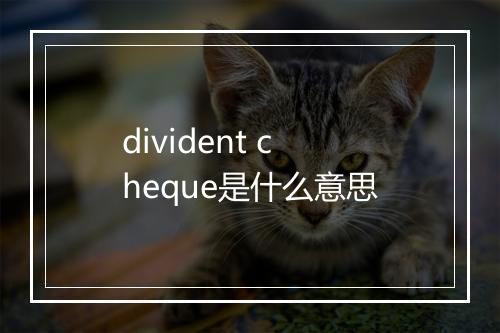 divident cheque是什么意思