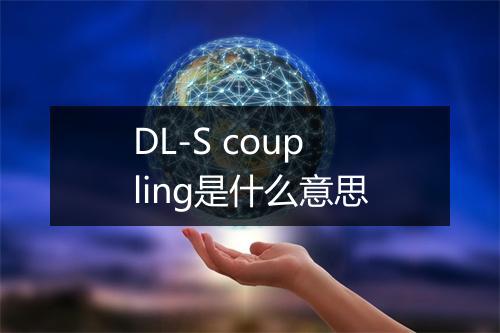 DL-S coupling是什么意思