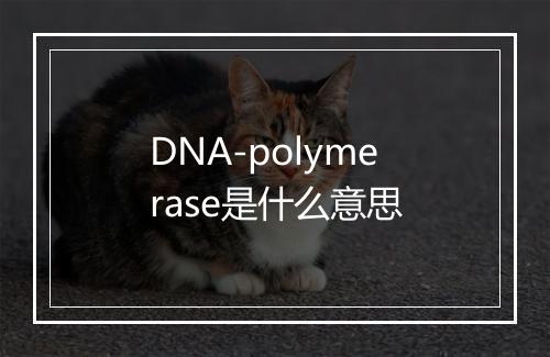 DNA-polymerase是什么意思