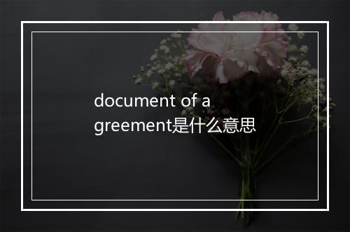 document of agreement是什么意思