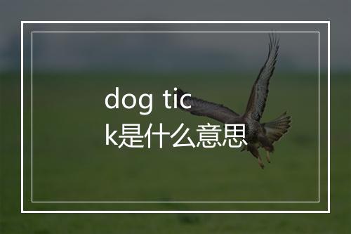 dog tick是什么意思