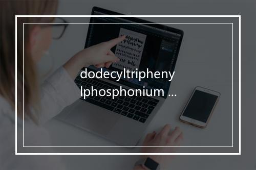 dodecyltriphenylphosphonium bromide是什么意思