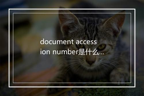 document accession number是什么意思