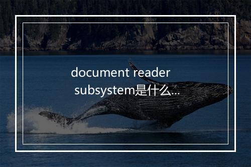 document reader subsystem是什么意思