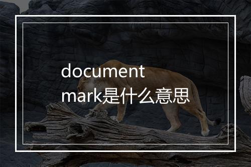 document mark是什么意思