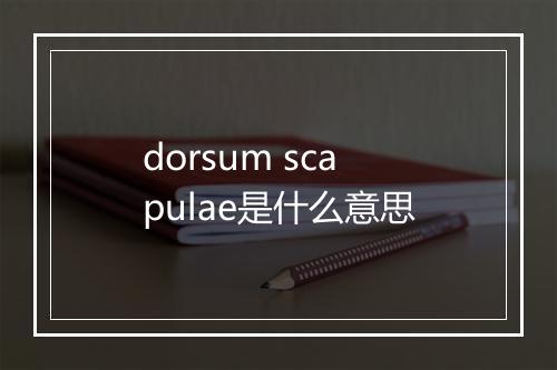 dorsum scapulae是什么意思