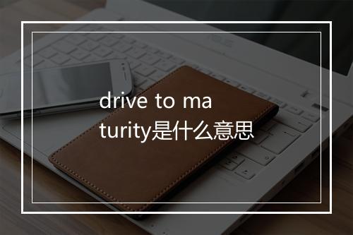 drive to maturity是什么意思