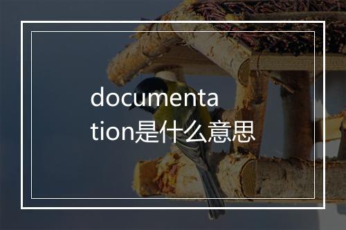 documentation是什么意思