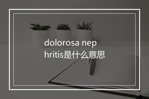 dolorosa nephritis是什么意思