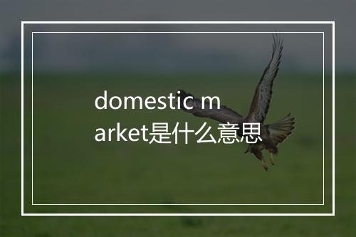 domestic market是什么意思