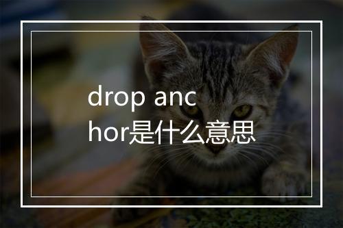 drop anchor是什么意思