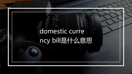 domestic currency bill是什么意思