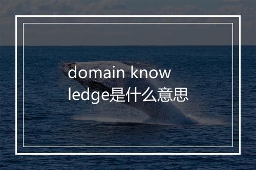 domain knowledge是什么意思