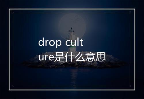 drop culture是什么意思