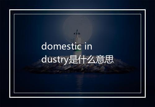 domestic industry是什么意思