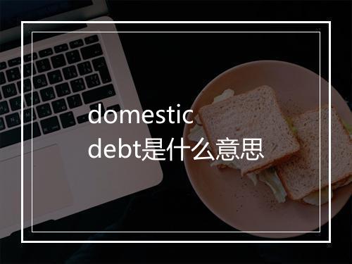 domestic debt是什么意思