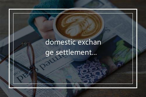 domestic exchange settlement account credit是什么意思