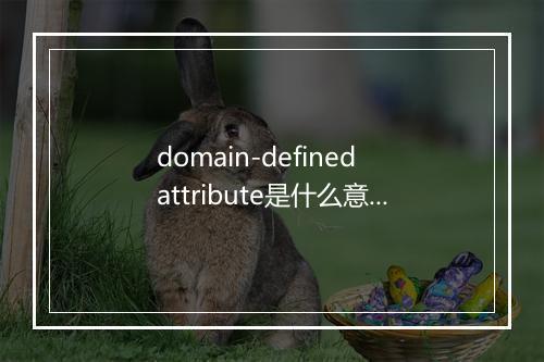 domain-defined attribute是什么意思