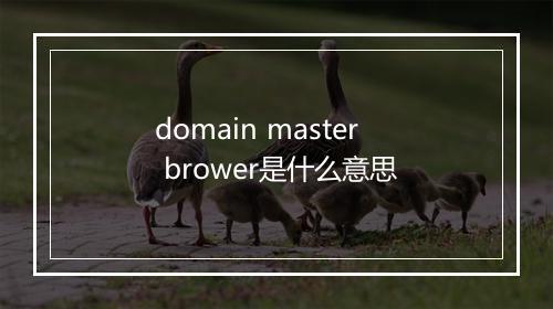 domain master brower是什么意思