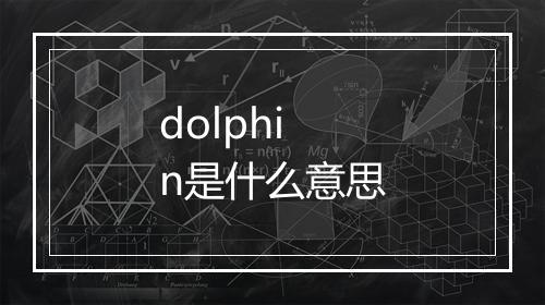 dolphin是什么意思