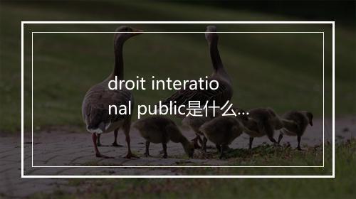 droit interational public是什么意思