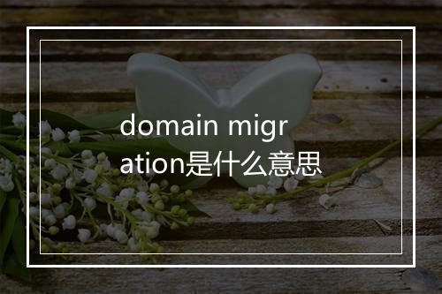 domain migration是什么意思