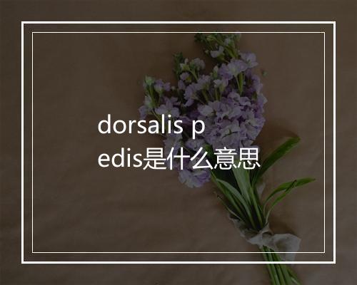 dorsalis pedis是什么意思