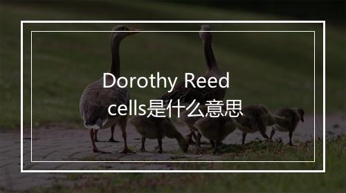 Dorothy Reed cells是什么意思