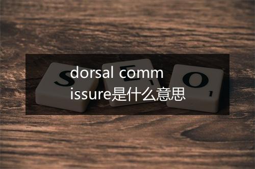 dorsal commissure是什么意思