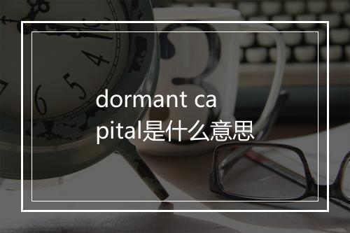 dormant capital是什么意思