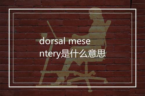 dorsal mesentery是什么意思