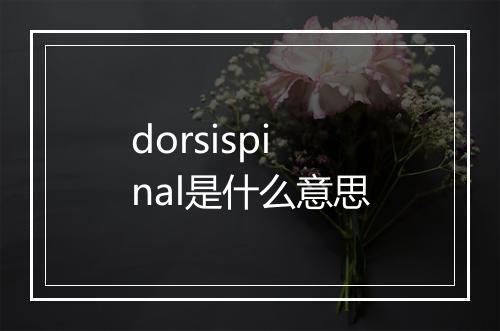 dorsispinal是什么意思