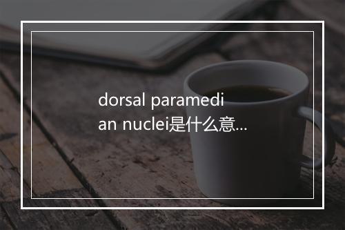 dorsal paramedian nuclei是什么意思