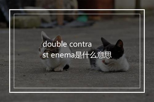 double contrast enema是什么意思