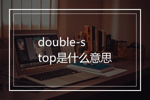 double-stop是什么意思