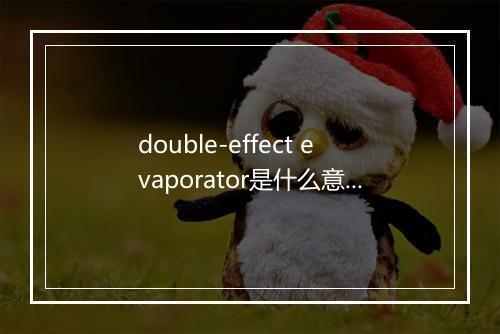 double-effect evaporator是什么意思