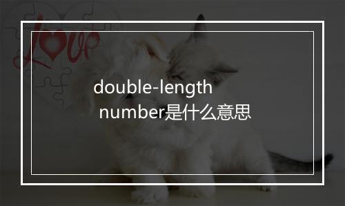 double-length number是什么意思