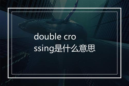 double crossing是什么意思