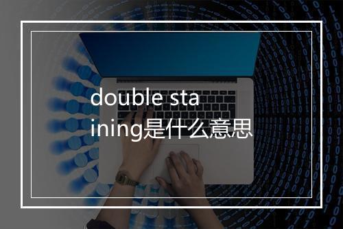 double staining是什么意思