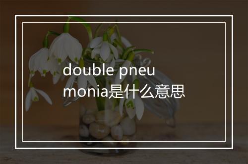 double pneumonia是什么意思