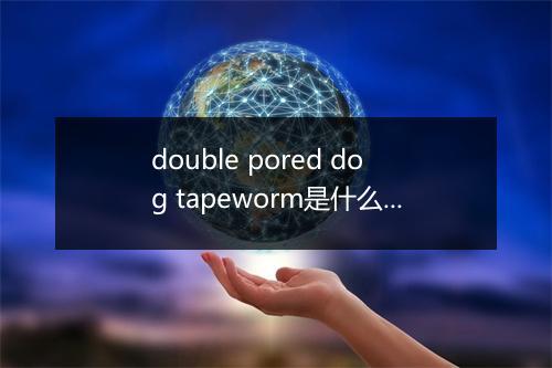 double pored dog tapeworm是什么意思