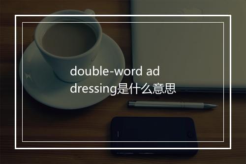 double-word addressing是什么意思