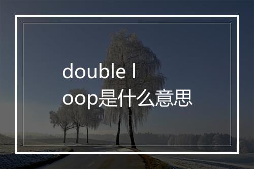 double loop是什么意思