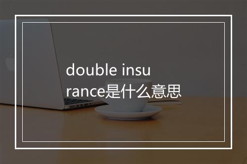 double insurance是什么意思